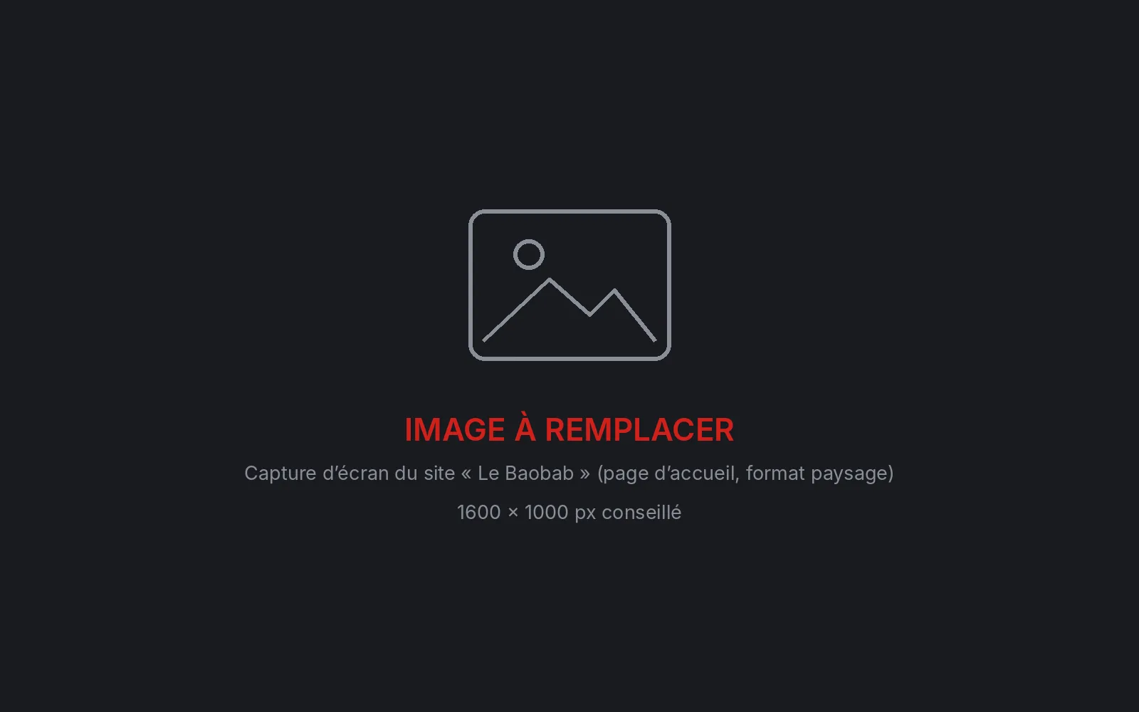 Image à remplacer : capture d’écran du site « Le Baobab » (page d’accueil, format paysage)