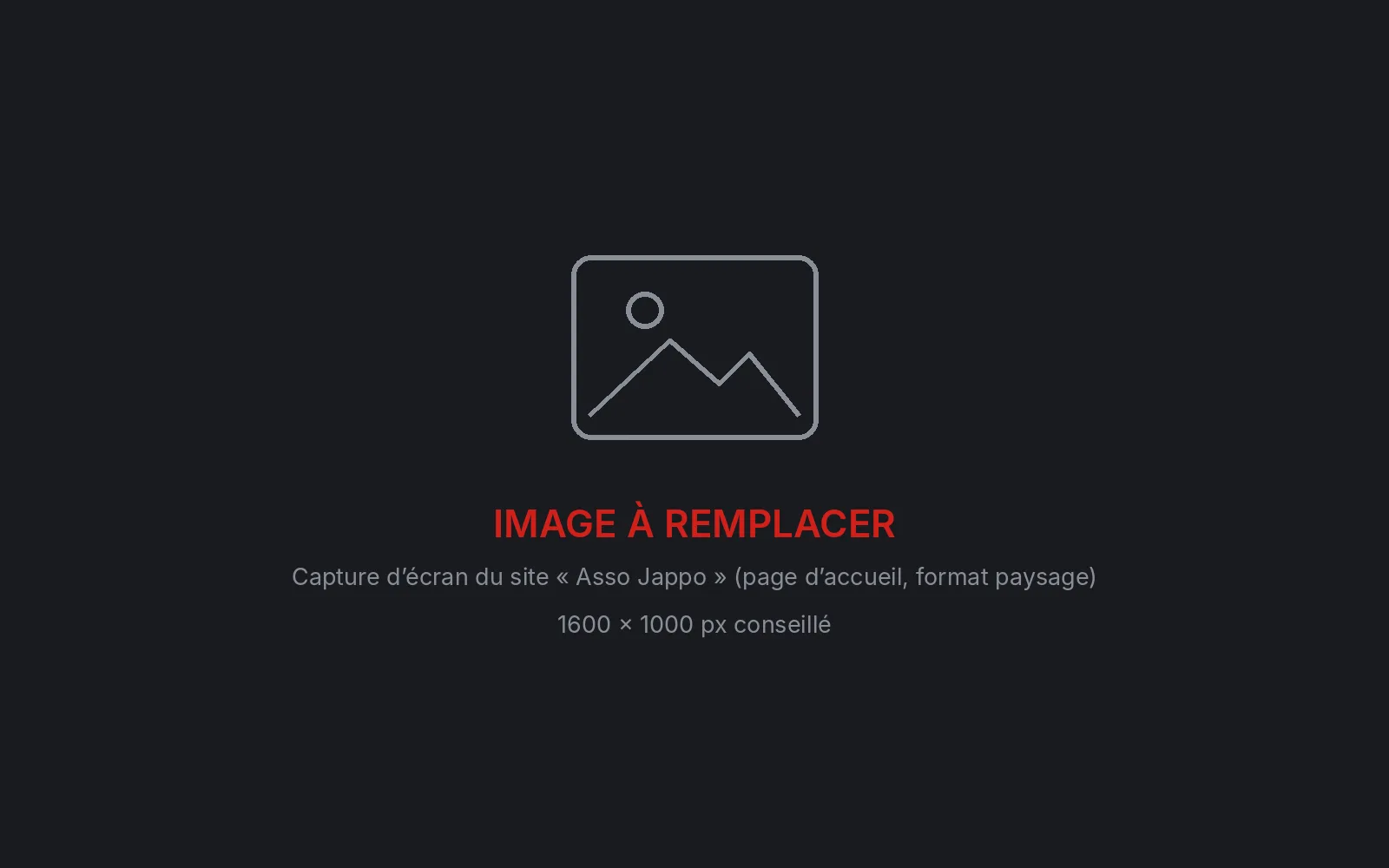 Image à remplacer : capture d’écran du site « Asso Jappo » (page d’accueil, format paysage)